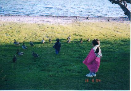 kiducks.jpg